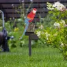 Solarbetriebene LED Papageien - Gartenlicht