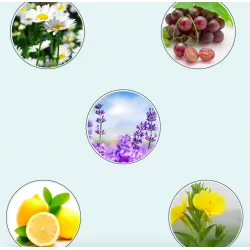 Slimming essential oil - body shaping - fat burning - anti cellulite massage oil & creamMassage