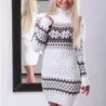 Winter long sweater - mini dress with turtleneckDresses