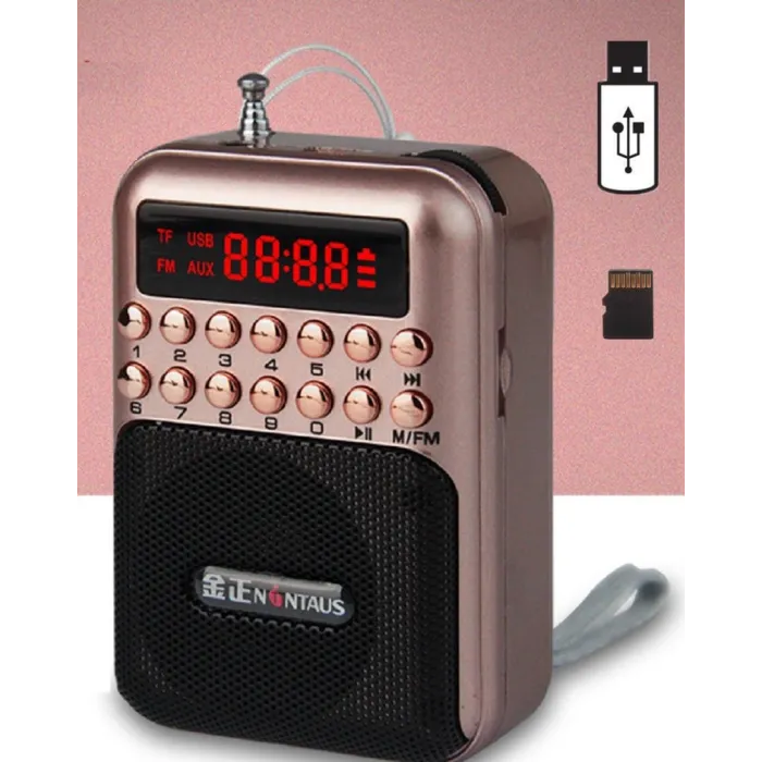 Portable - wiederaufladbares Miniradio - Unterstützung TF-Karte - USB - MP3-Player