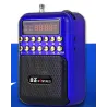 Portable - wiederaufladbares Miniradio - Unterstützung TF-Karte - USB - MP3-Player