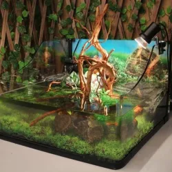 Natural tree trunk driftwood - aquarium fish tank reptile cylinder