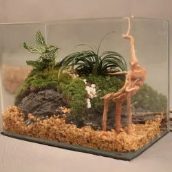 Natural tree trunk driftwood - aquarium fish tank reptile cylinder