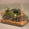 Natural tree trunk driftwood - aquarium fish tank reptile cylinder