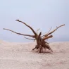 Natural tree trunk driftwood - aquarium fish tank reptile cylinder