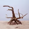 Natural tree trunk driftwood - aquarium fish tank reptile cylinder