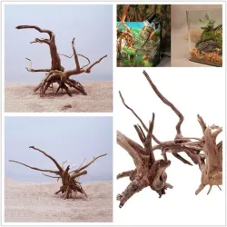 Natural tree trunk driftwood - aquarium fish tank reptile cylinder