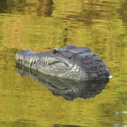 Flytec V005 2.4G - electric RC boat with crocodile head - RTR toy