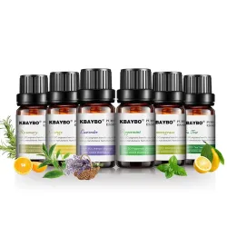 10ml * 6 - Ätherische Öle für Luftbefeuchter - Lavendel - Teebaum - Zitronengras - Rosmarin - Orange - Pfefferminze