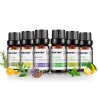 10ml * 6 - Ätherische Öle für Luftbefeuchter - Lavendel - Teebaum - Zitronengras - Rosmarin - Orange - Pfefferminze
