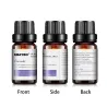 10ml * 6 - Ätherische Öle für Luftbefeuchter - Lavendel - Teebaum - Zitronengras - Rosmarin - Orange - Pfefferminze